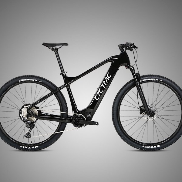 High Quality Off Road Electric Mountain Bike Mountain Bike 29 Inch Mountain E-bike With 12 Speed Adjustment