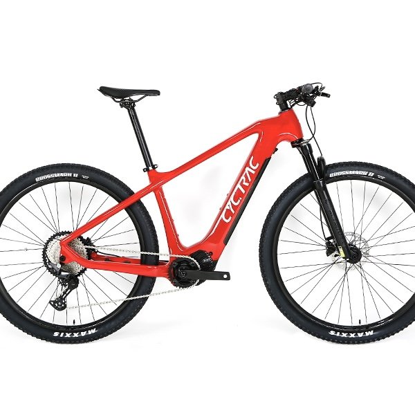 High Quality Off Road Electric Mountain Bike Mountain Bike 29 Inch Mountain E-bike With 12 Speed Adjustment