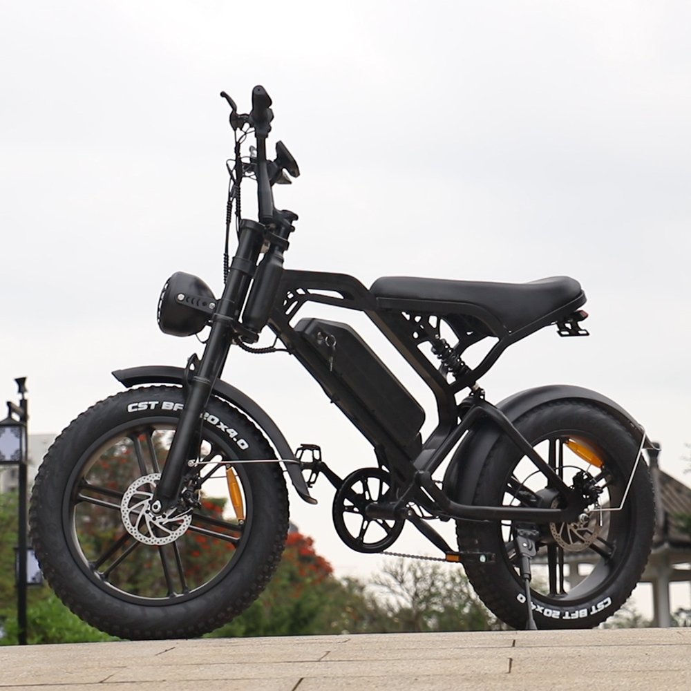 Oem Factory Wholesale Electric Bikes Cheap Electric Bikes 3000 Watts Fat Tire Mountain Bicycle Electric Walking Bike Steel 48V