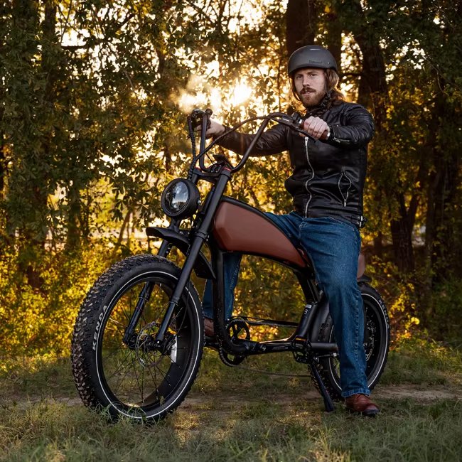 High Endurance 48V Power Supply 350W Rear Hub Motor Aluminum Alloy Frame Lithium Battery Hybrid Mountain Electric Bike