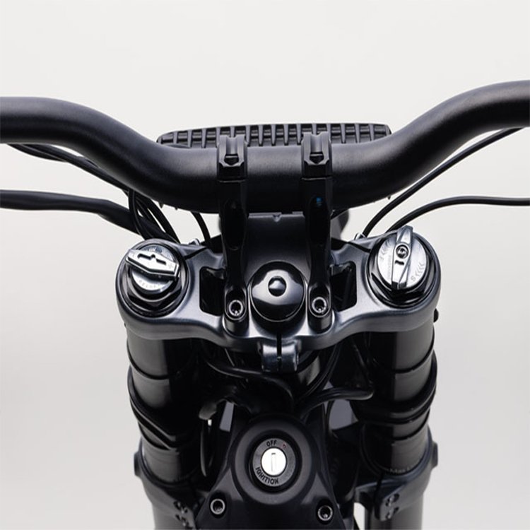 Electric mountain bike Rerode R1 high speed mid-motor 8000W 330N.m torque 120km range all-terrain