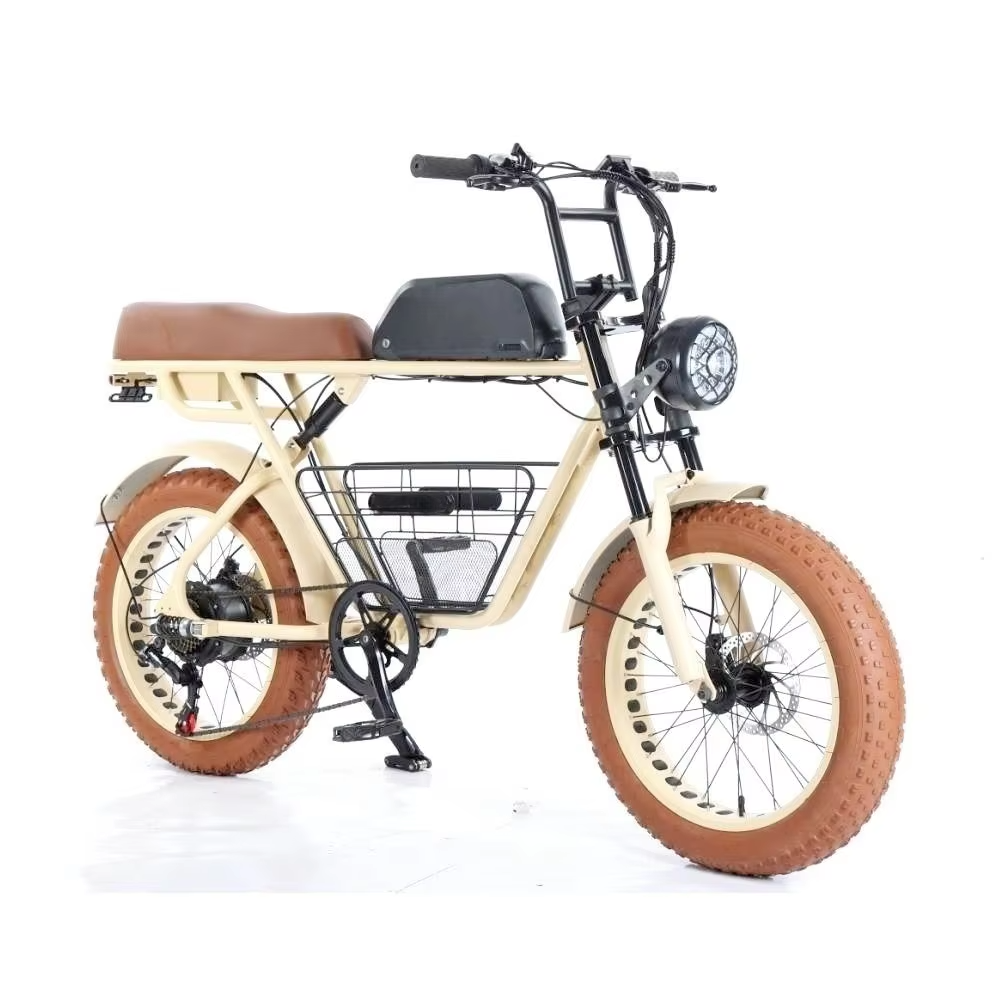 High Quality Retro Moped Electric Bicycle 500W-1500W Enduro Ebike with 1000W Power Lithium Battery 20 Inch Steel Wheel 73
