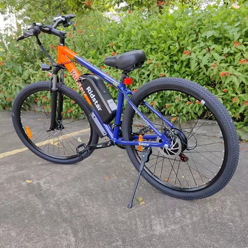 Ridstar Big Frame Electric Bicycle 45Km/H Fat Bikes1000W Electric Mountain Bike 29 Inch With Removable Battery