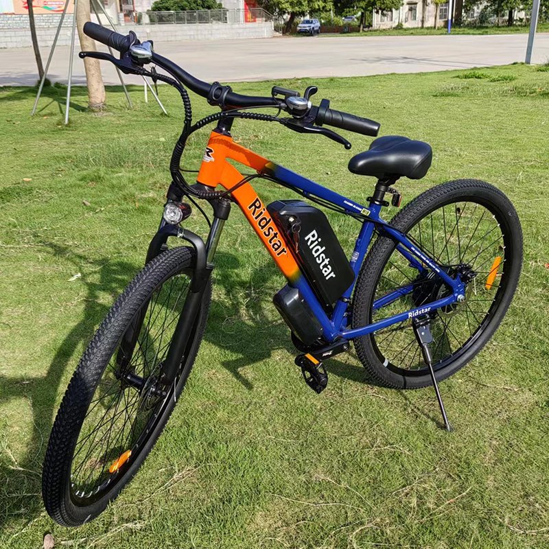 Ridstar Big Frame Electric Bicycle 45Km/H Fat Bikes1000W Electric Mountain Bike 29 Inch With Removable Battery