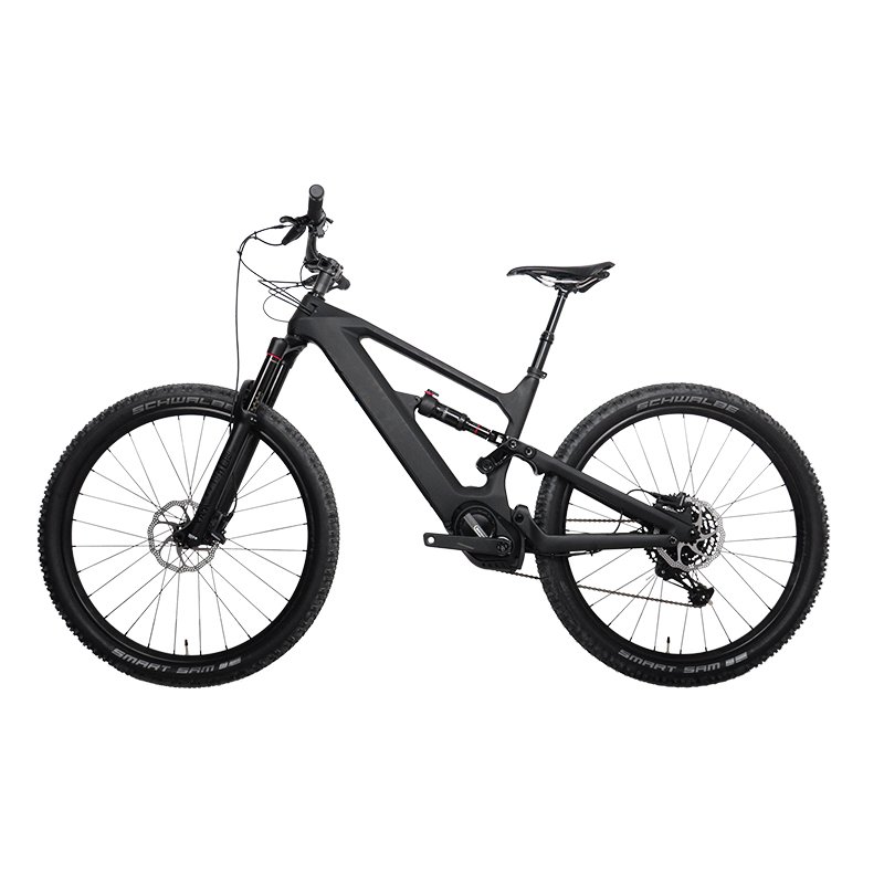 DengFu NEW Electric Mountain Bike E10 BAFANG M600 G521 500W 48V Carbon Frame E-bike