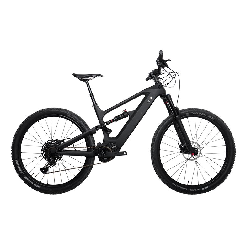DengFu NEW Electric Mountain Bike E10 BAFANG M600 G521 500W 48V Carbon Frame E-bike