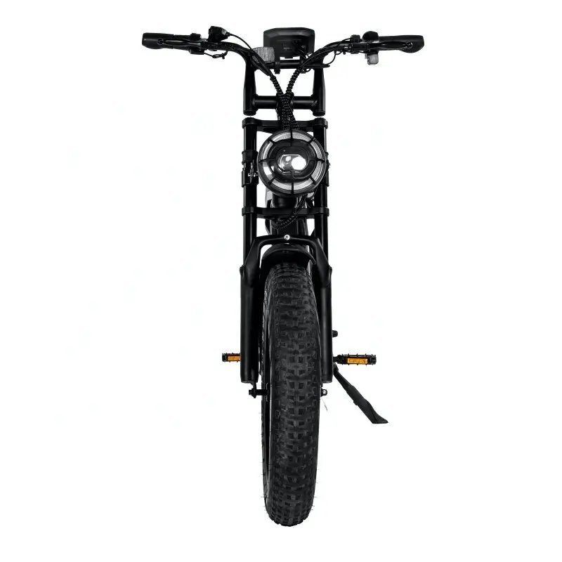 Wholesales V20 Electric Mountain Bike Fat Tire electric bikes 48V 750W 1000W 20 Inch ebike bicycles