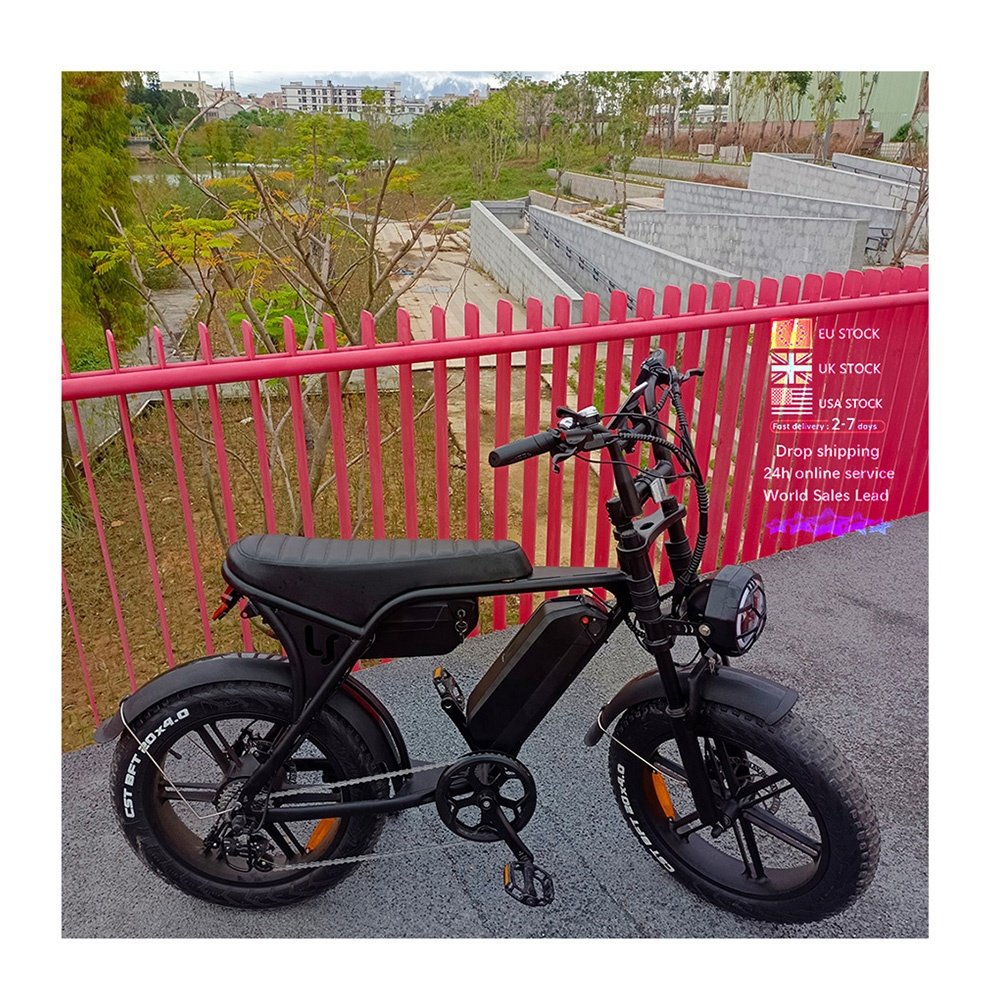 V8 max double Battery motor Fatbike e Bike cycling Adult riding bike electric bike fast ebike EU Warehouse