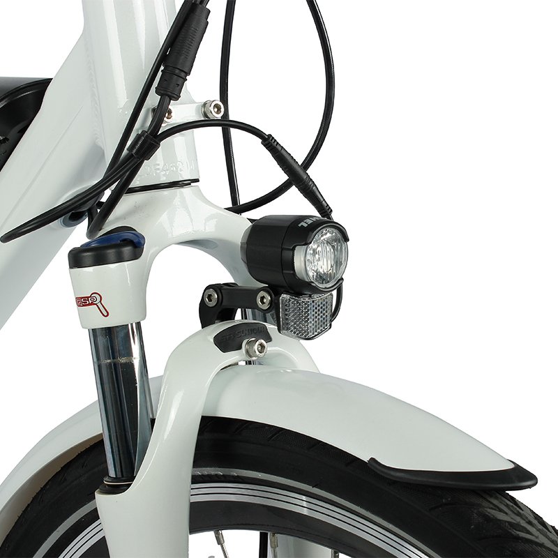 Poland factory 36v 250w Rear Motor Electric City Bike E-Bike Pedal Assisted Down tube Battery Electric Bicycle