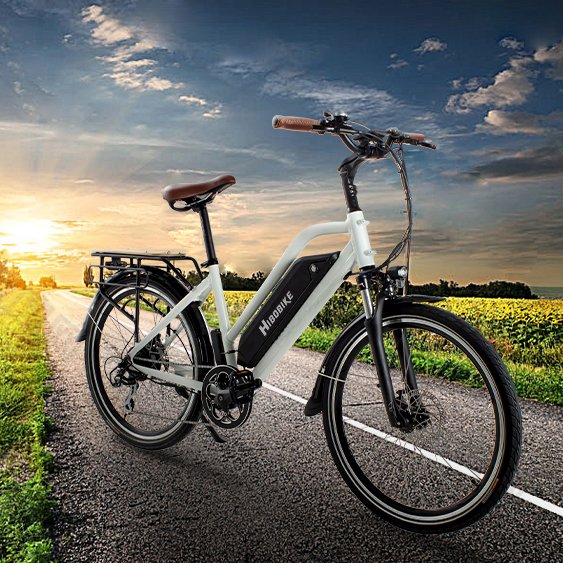 Poland factory 36v 250w Rear Motor Electric City Bike E-Bike Pedal Assisted Down tube Battery Electric Bicycle