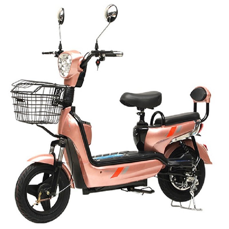 Factory Price 2 Seat Electrical Bicycle 350w Two-Wheel Electric bike for City 80KM Range