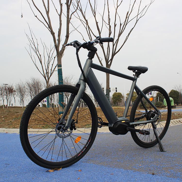 Oem Factory Mid Drive Motor Ebike Belt Drive 750W All Terrain Electric Mountain Bike For Adult Gravel Ebike Superlight Gravel