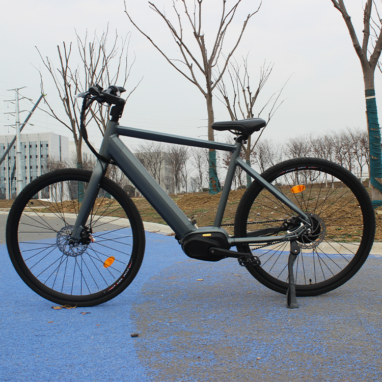 Oem Factory Mid Drive Motor Ebike Belt Drive 750W All Terrain Electric Mountain Bike For Adult Gravel Ebike Superlight Gravel