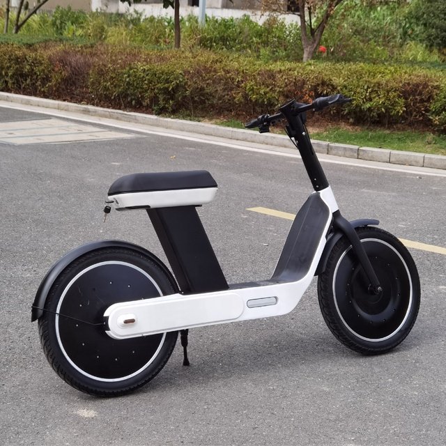 48v350w Wholesale Electric Mountain Bike for Adults with White Light