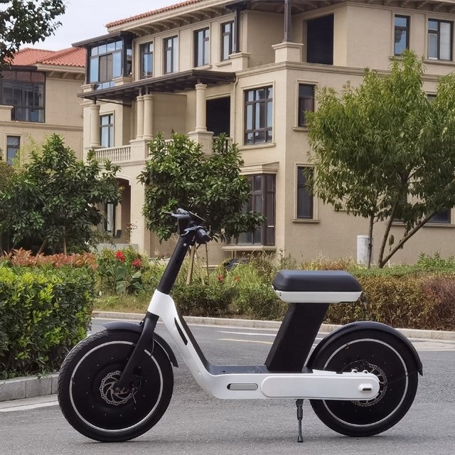 48v350w Wholesale Electric Mountain Bike for Adults with White Light