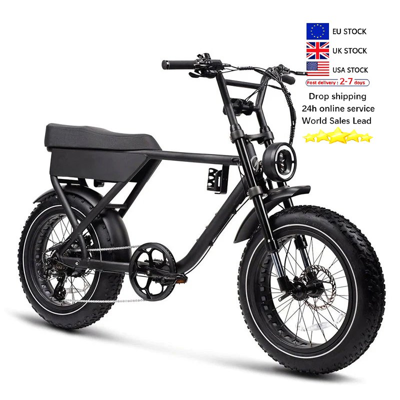 Eu Us Warehouse Premium 48V 1000W Aluminum Alloy Off-Road Hybrid Fat Tire Bicycle electric mountain bike full suspension