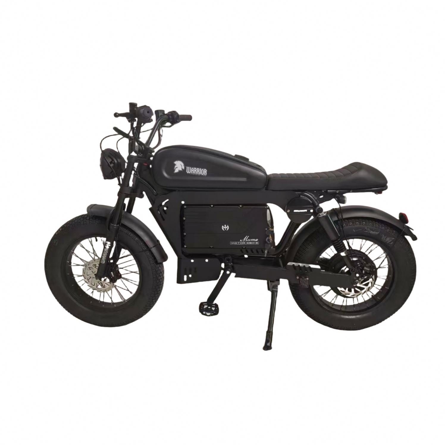 20*4.0 Fat Tire Bike Motorbike Electric Snow Tire Bike Disc Brake Electric Mountain Bike