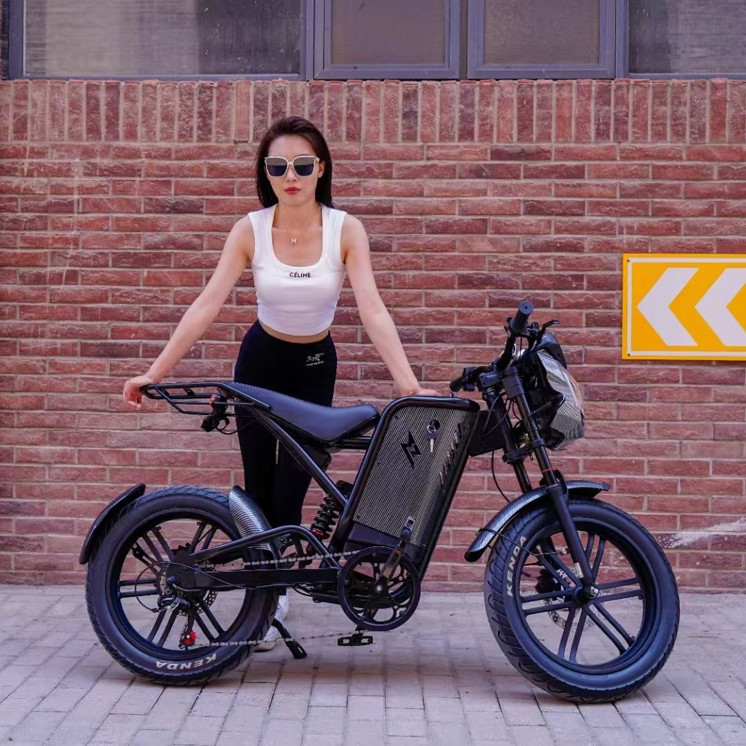 Vintage 20" Fat Tire Trek Ebike All Electric MTB E Dirt Bikes Mountain Electrica 1000W Beach Cruiser Retro Bicycle For Adults