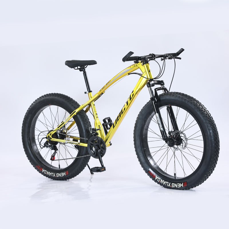 Wholesale Full Suspension 21 Speed 26inch Mountain Bicycle Snow Bike With Big Fat Tyre