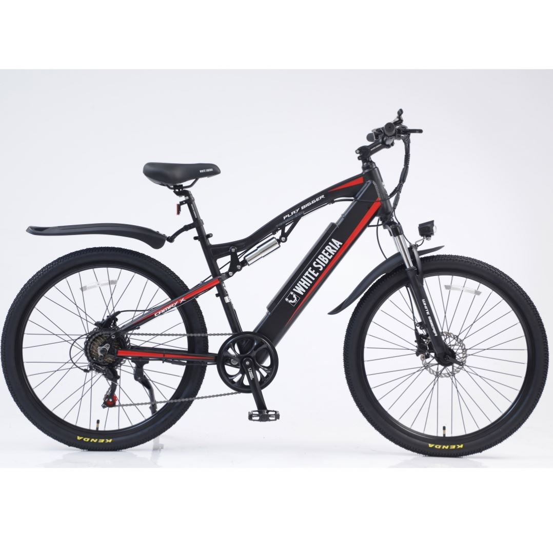 48V 250W Motor 26" Aluminum Alloy Electric Bicycles Steel Frame Lithium Battery Electronic City Bike mountain bike