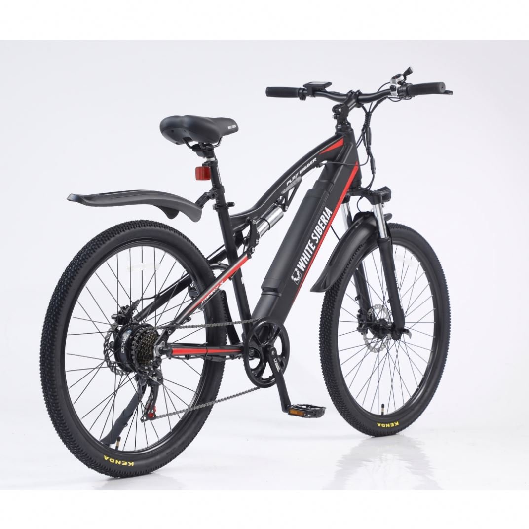 48V 250W Motor 26" Aluminum Alloy Electric Bicycles Steel Frame Lithium Battery Electronic City Bike mountain bike