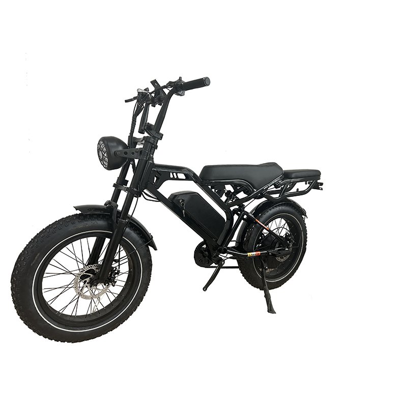 China Manufacturer's 350W 48V 12Ah Drum Brake 20 Inch Tires Electric Offroad Mountain City Bike Battery High-Tech Electric Urban