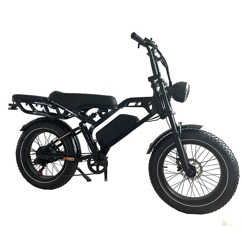 China Manufacturer's 350W 48V 12Ah Drum Brake 20 Inch Tires Electric Offroad Mountain City Bike Battery High-Tech Electric Urban