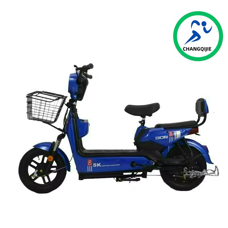 economyDiandongche Electric City Bike