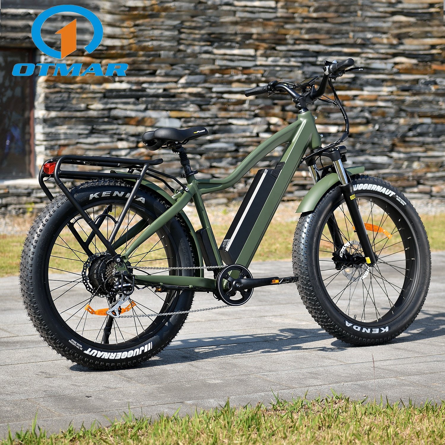 48V 52V 750W 1000W Rear Drive 26inch Fat Tire Mountain E Cycle High Power Adult Electric Bike