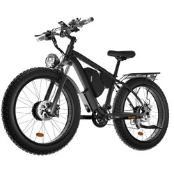 1000W 16AH