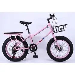 Experienced Factory Supply Fat Tire Bike Carbon Mountain Bicycle Full Suspension Fat Bike Young Snow Cycle