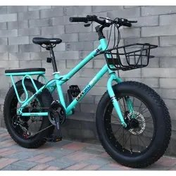 Experienced Factory Supply Fat Tire Bike Carbon Mountain Bicycle Full Suspension Fat Bike Young Snow Cycle