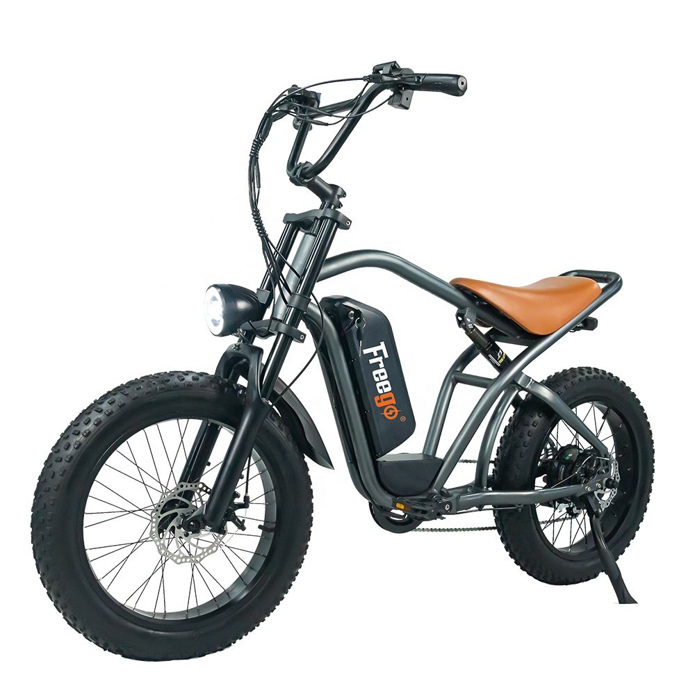Freego Electric Motorbike e bike Suitable fat tire for beach and snow 48V 1000W Motor Max speed 25-50km/h electric city bike