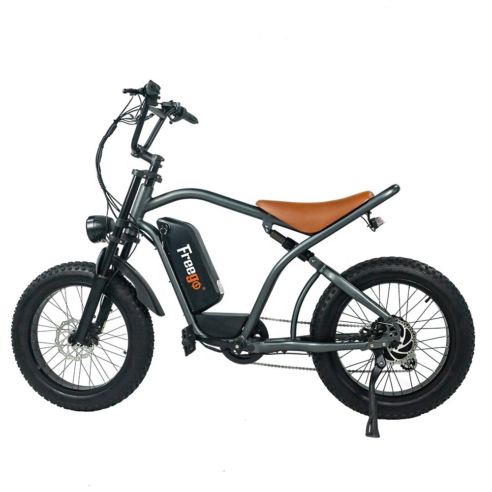 Freego Electric Motorbike e bike Suitable fat tire for beach and snow 48V 1000W Motor Max speed 25-50km/h electric city bike
