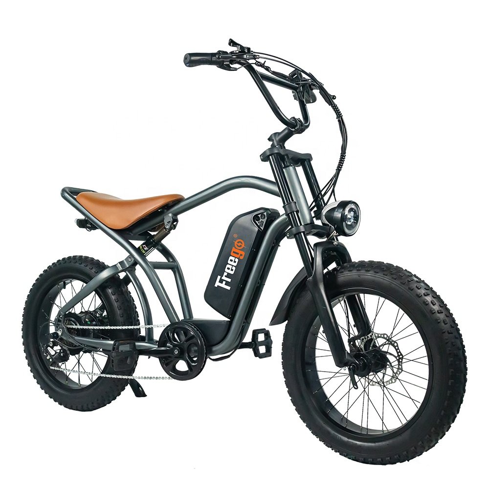 Freego Electric Motorbike e bike Suitable fat tire for beach and snow 48V 1000W Motor Max speed 25-50km/h electric city bike