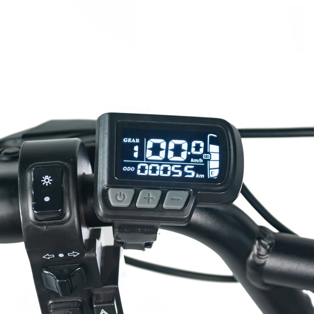 Freego Electric Motorbike e bike Suitable fat tire for beach and snow 48V 1000W Motor Max speed 25-50km/h electric city bike