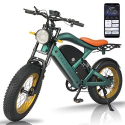 >1000W