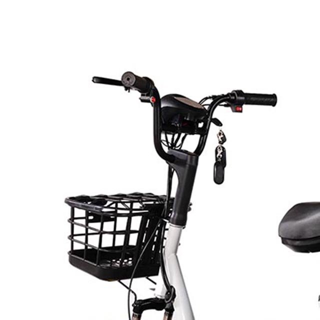 Classic 48V 350W electric bicycle adult 2 seats bicycle electric city bike women