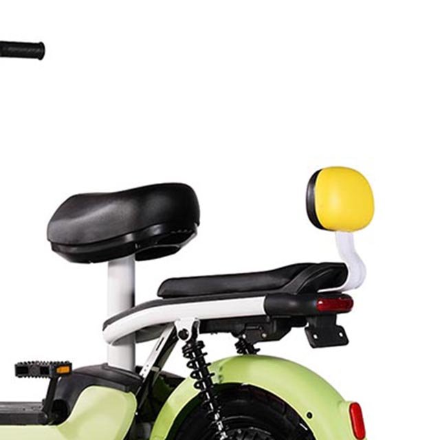 Classic 48V 350W electric bicycle adult 2 seats bicycle electric city bike women