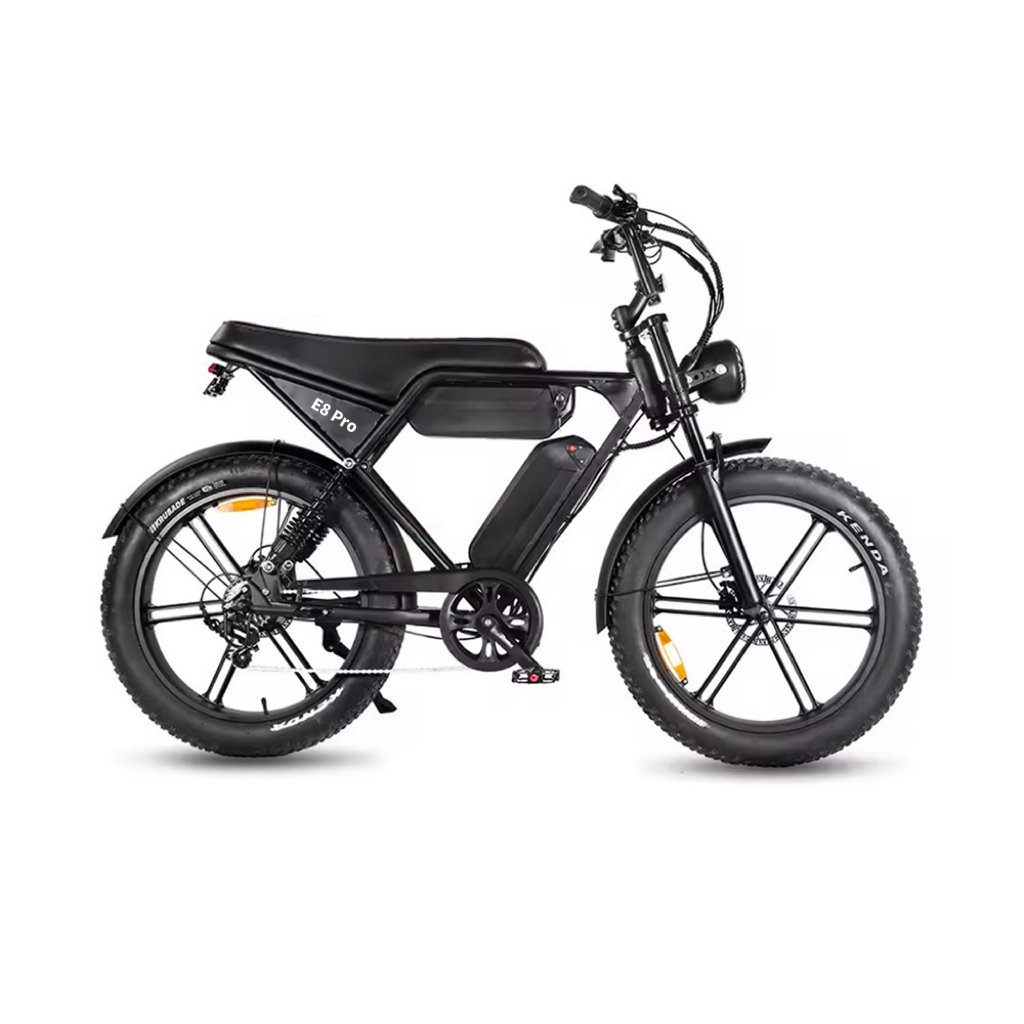Full Suspension 750W Electric Bicycle 15Ah 30Ah 48V 20inch 24inch Electric Fat Tire Mountain Bike for Adults