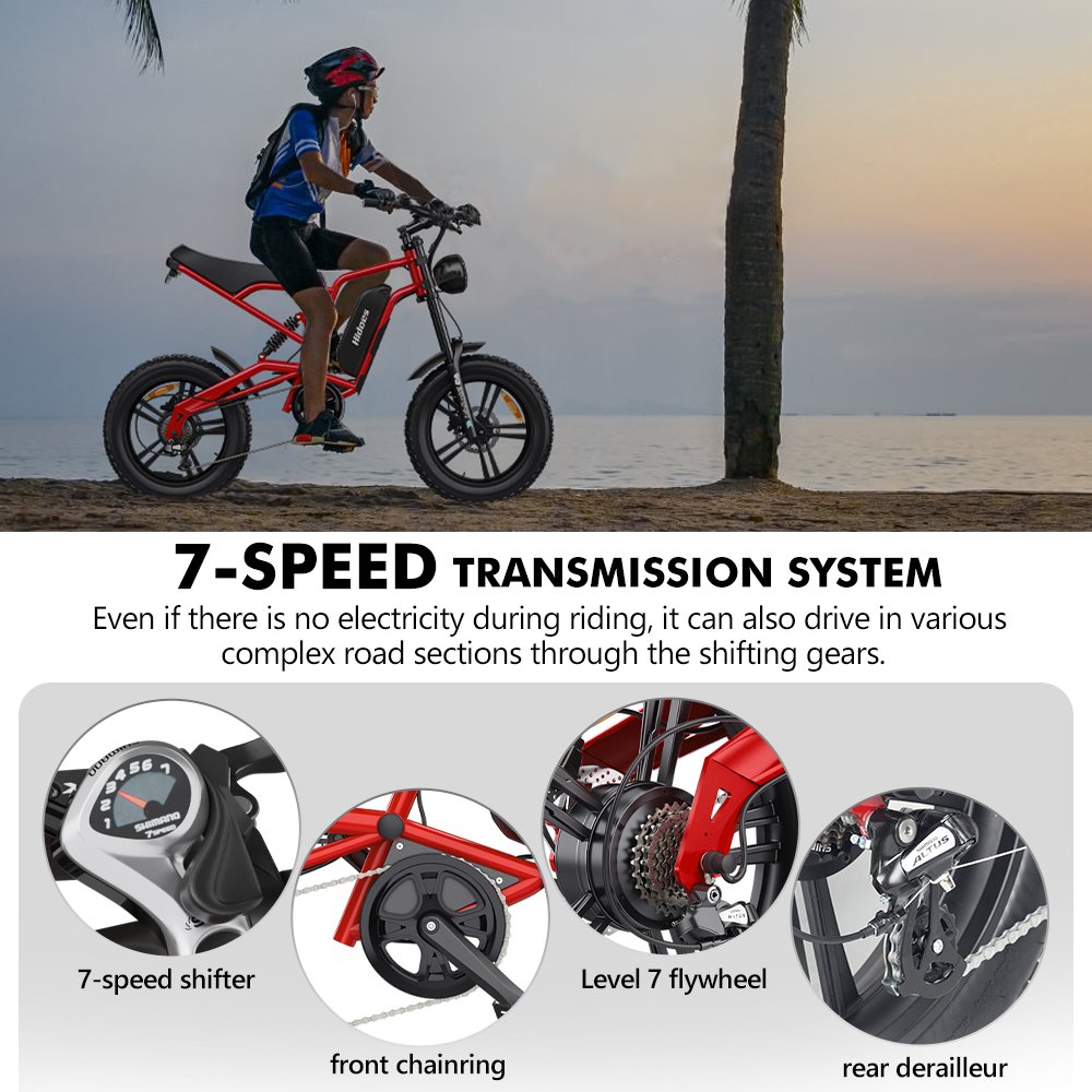 EU & US & UK Stock Hidoes B6 Electric Mountain Bike 48v 1200w USA UL2849 Certificated High Power Electric Bike
