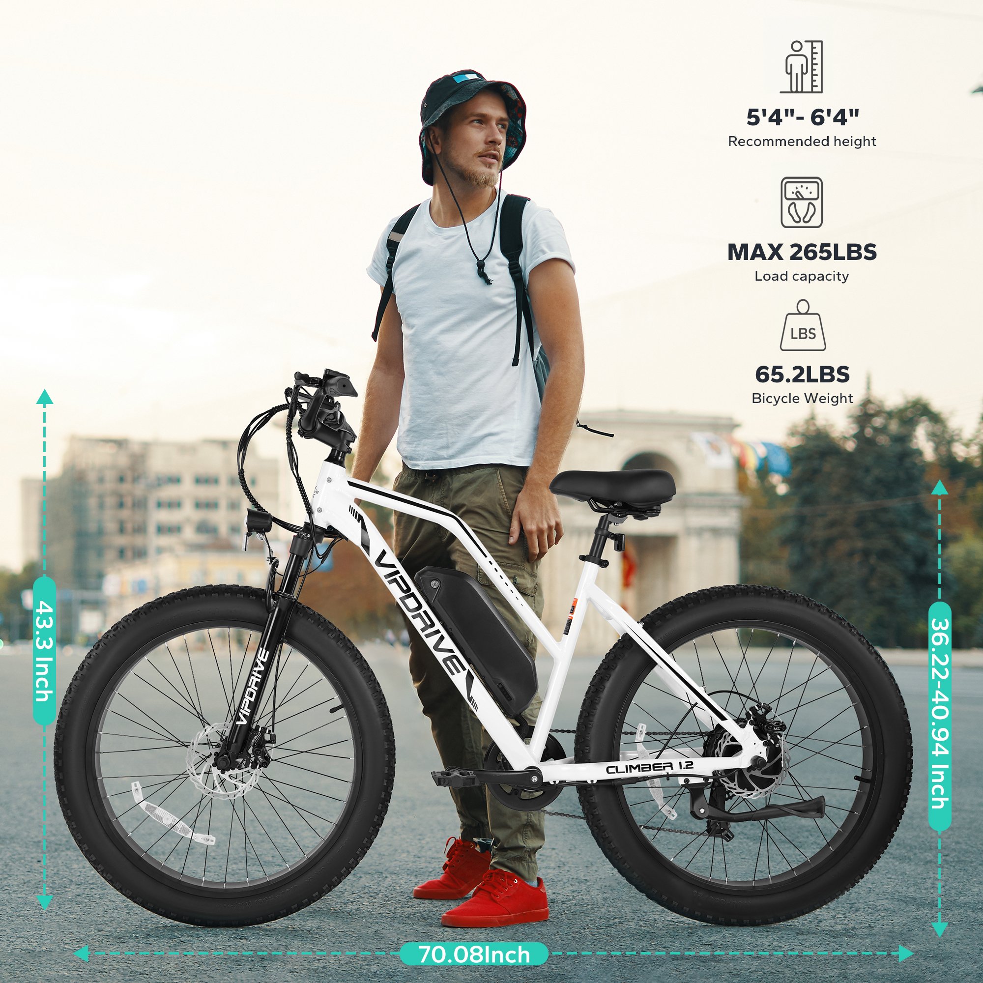 USA Stock 48V 13AH 500W Ion Fat Tire Electric Mountain Bike Full Suspension Multi Mode LCD Display Sport Ebike For Adults