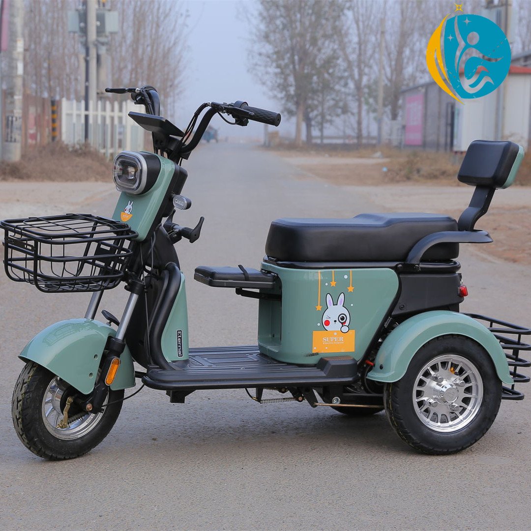 Electric City Bike for Kids Foldable Mini Battery Charger Pedal King Tricycle with Assembly Line for Philippines