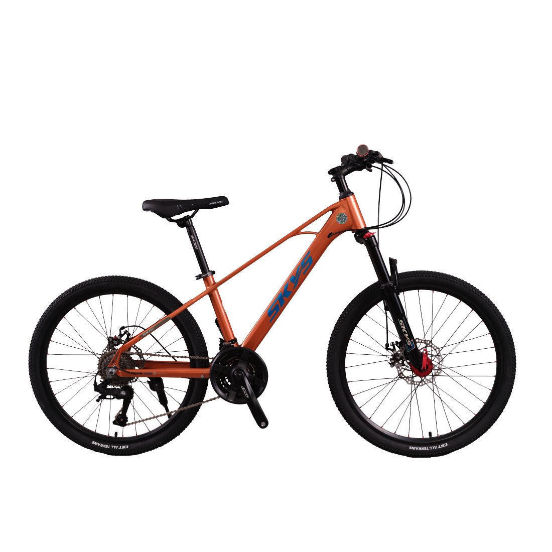 Cheap mtb Steel frame mountain bike 27.5 29 inch cycle with 10 speed Mountain bike Bicycle mtb