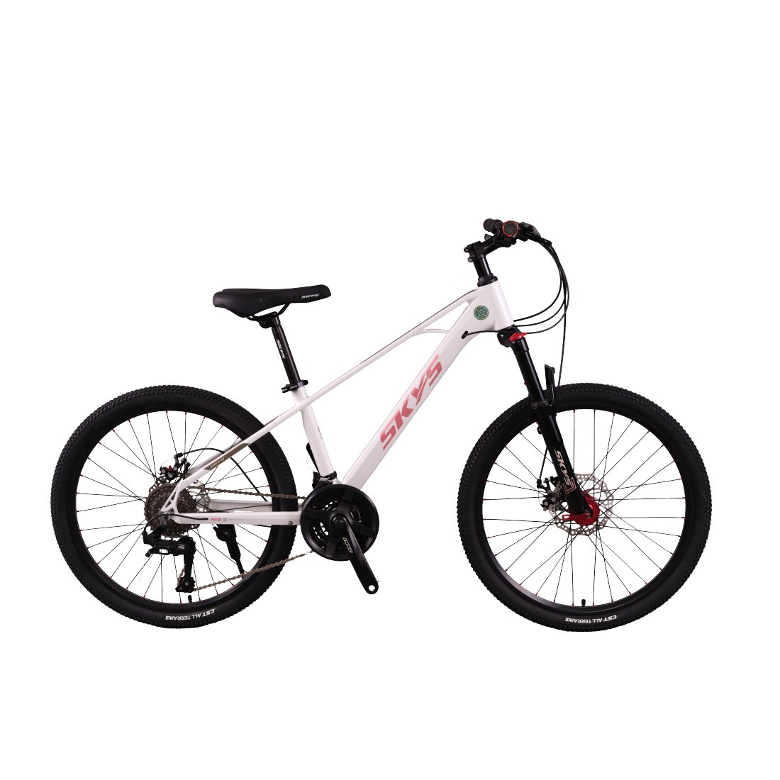 Cheap mtb Steel frame mountain bike 27.5 29 inch cycle with 10 speed Mountain bike Bicycle mtb