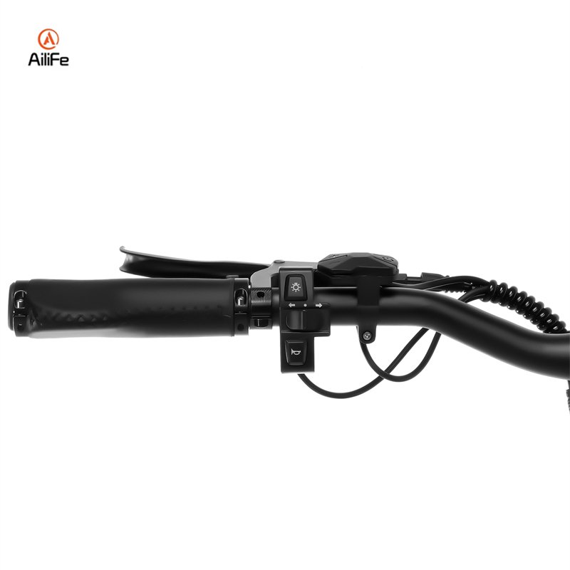 EU stocks bicicletta elettrica da 1000W 26" Fat e Bikes 250W urban electric city bike leisure electric bicycle for women