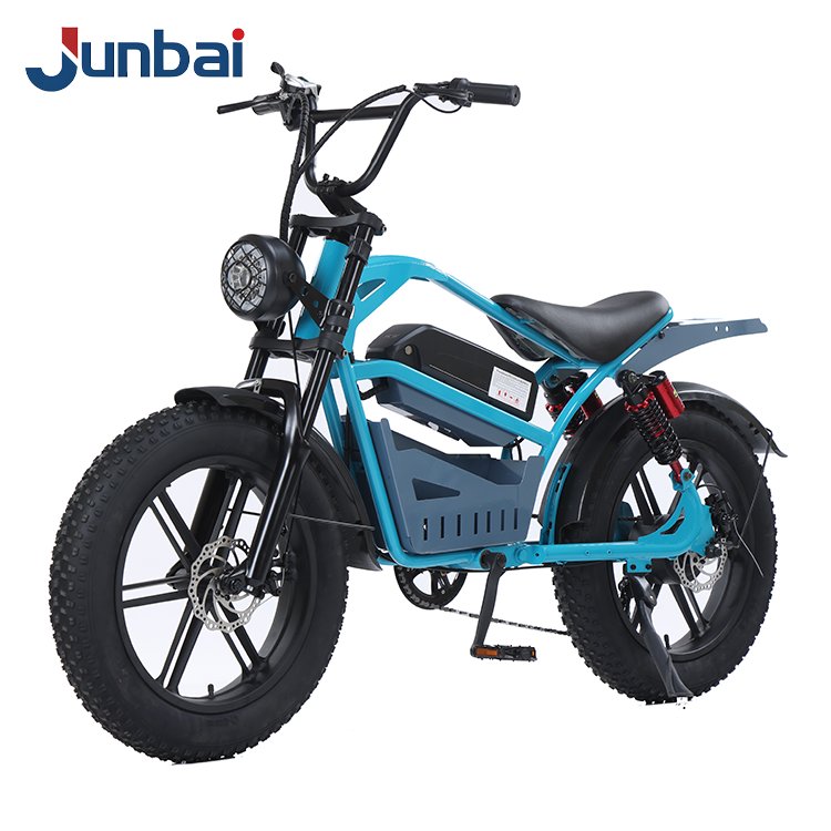 15Ah Lithium Battery Power E-bike with 7 Speed 20*4.0 Inch Fat Tire Electric Mountain Bike