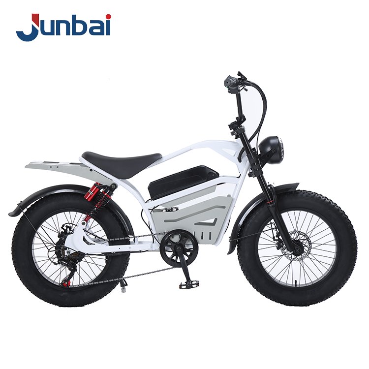 15Ah Lithium Battery Power E-bike with 7 Speed 20*4.0 Inch Fat Tire Electric Mountain Bike