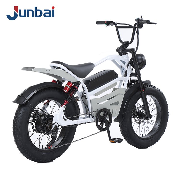 15Ah Lithium Battery Power E-bike with 7 Speed 20*4.0 Inch Fat Tire Electric Mountain Bike