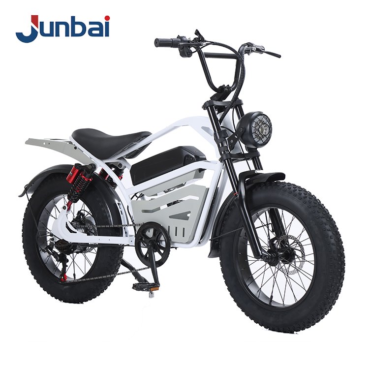 15Ah Lithium Battery Power E-bike with 7 Speed 20*4.0 Inch Fat Tire Electric Mountain Bike